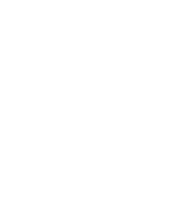 VI FIN Logo(w)_FA-04